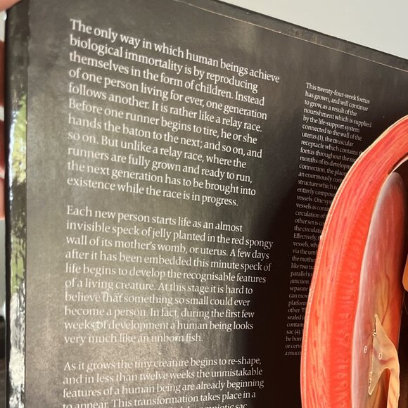 BOOK The Facts of Life 3D Pop-up Book Pregnancy Birth Conception Family - Picture 4 of 7